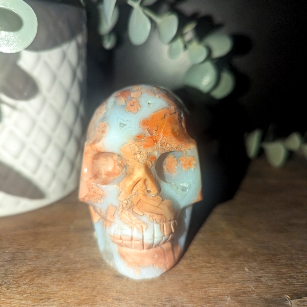 Cotton candy agate druzy  skull